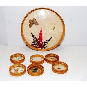 Vintage Acrylic Serving Tray/6 Coasters MCM Pressed Butterfly Flower Bamboo Tiki